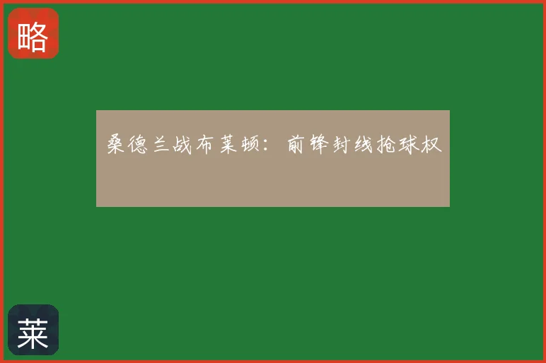 桑德兰战布莱顿：前锋封线抢球权